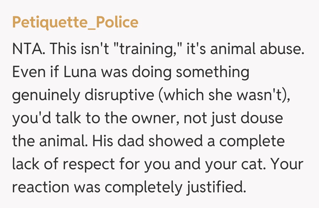 Comentariu de la Petiquette_Police