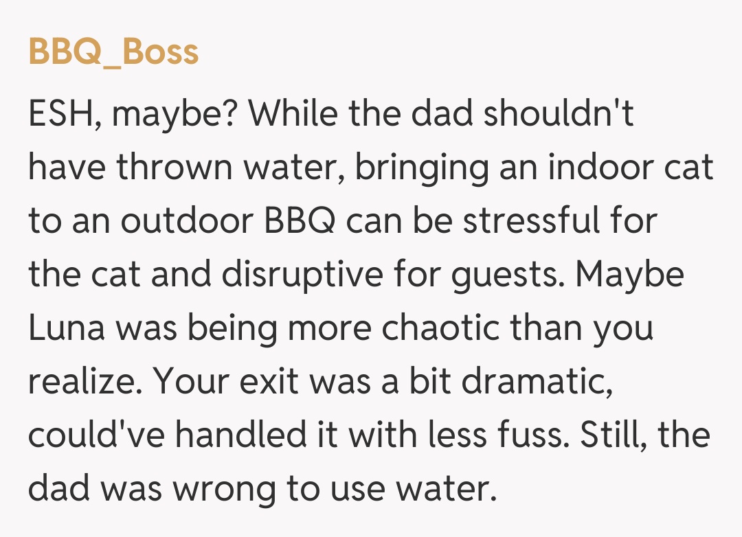 Comentariu de la BBQ_Boss