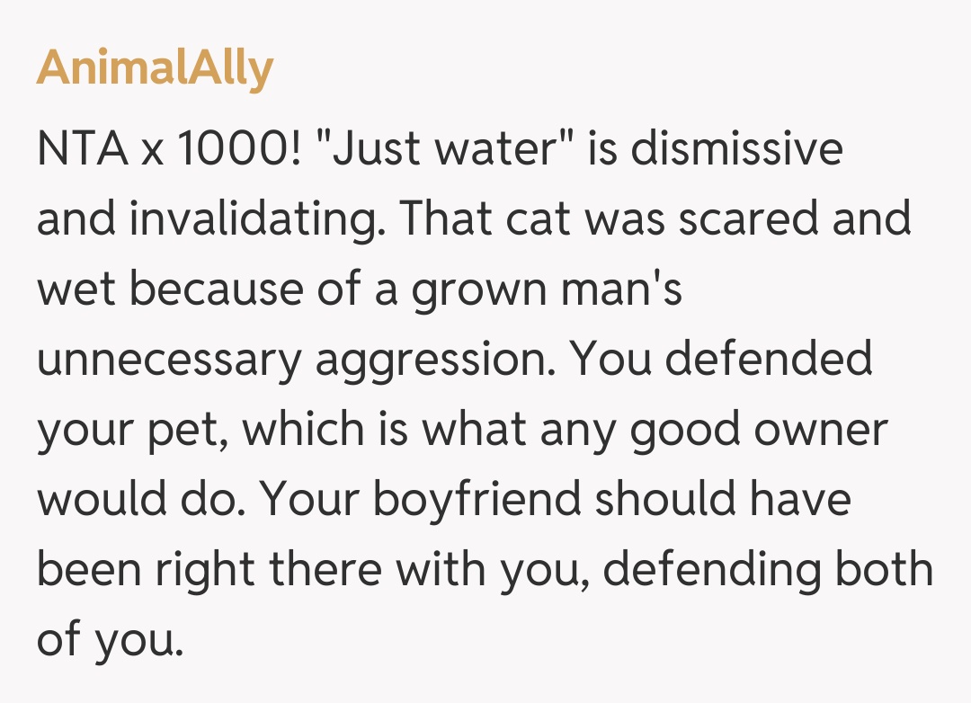 Comentariu de la AnimalAlly