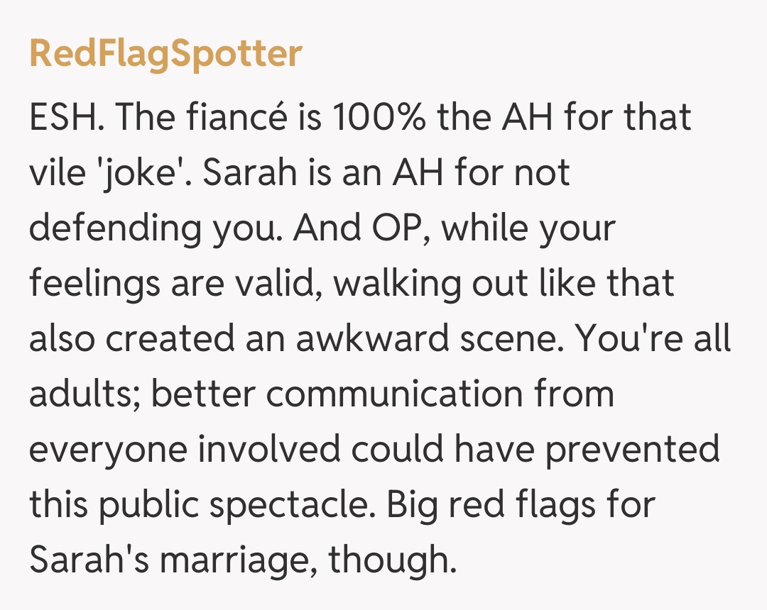 Comentariu de la RedFlagSpotter