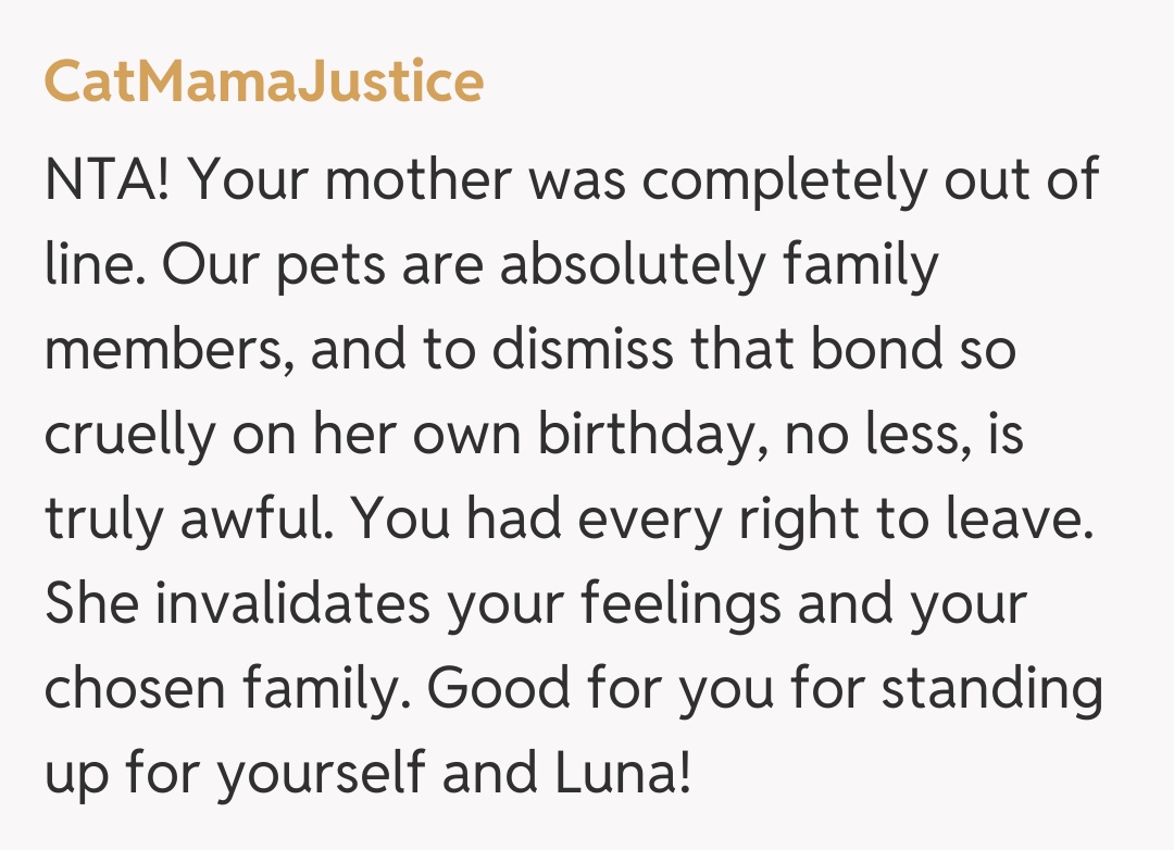 Comentariu de la CatMamaJustice