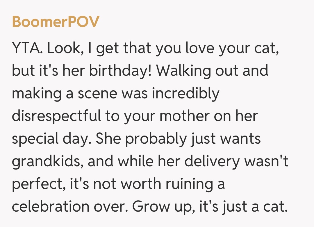 Comentariu de la BoomerPOV