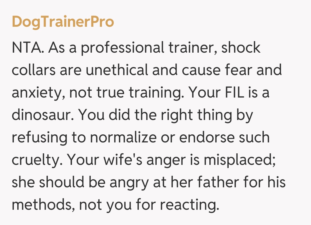 Comentariu de la DogTrainerPro