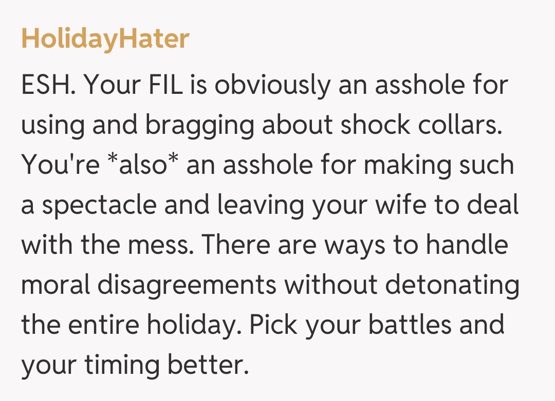 Comentariu de la HolidayHater