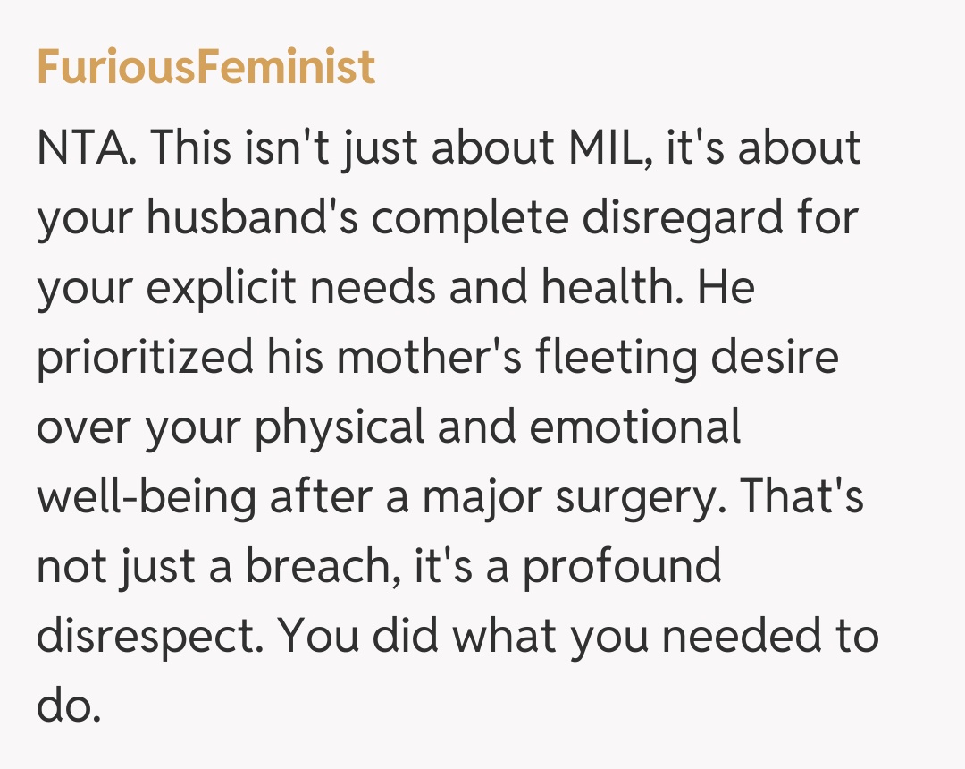 Comentariu de la FuriousFeminist