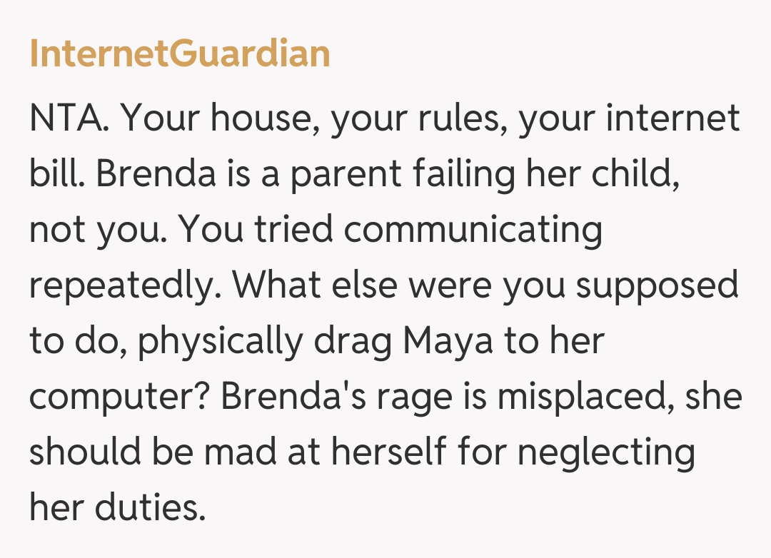 Comentariu de la InternetGuardian