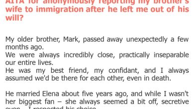 Photo of AITA for anonymously reporting my brother’s wife to immigration after he left me out of his will?