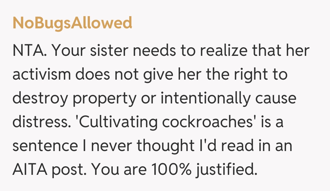 Comentariu de la NoBugsAllowed