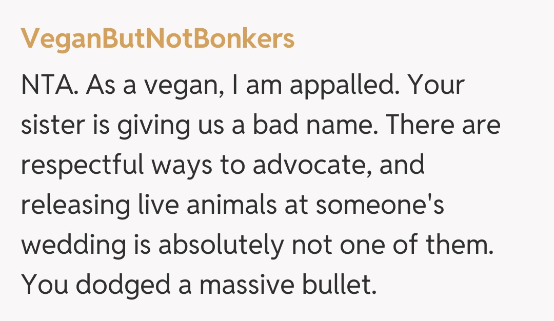 Comentariu de la VeganButNotBonkers