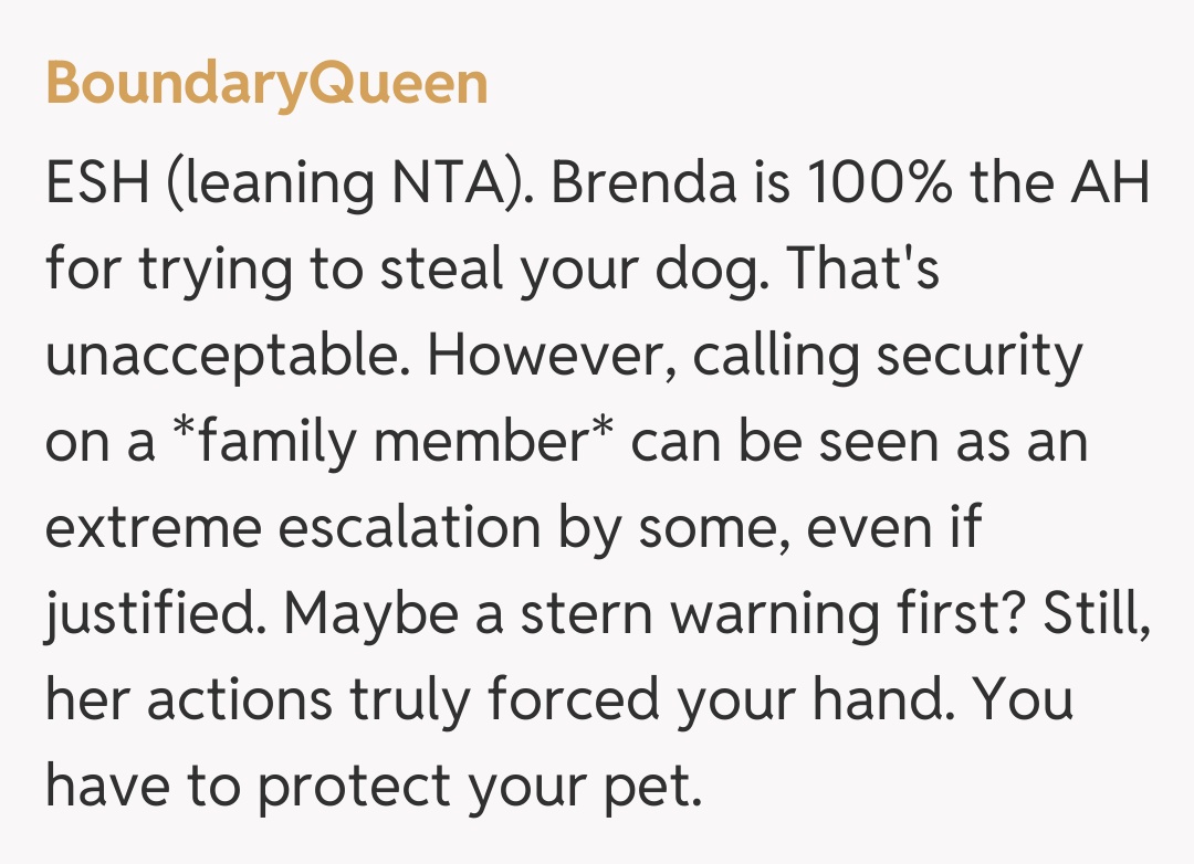 Comentariu de la BoundaryQueen