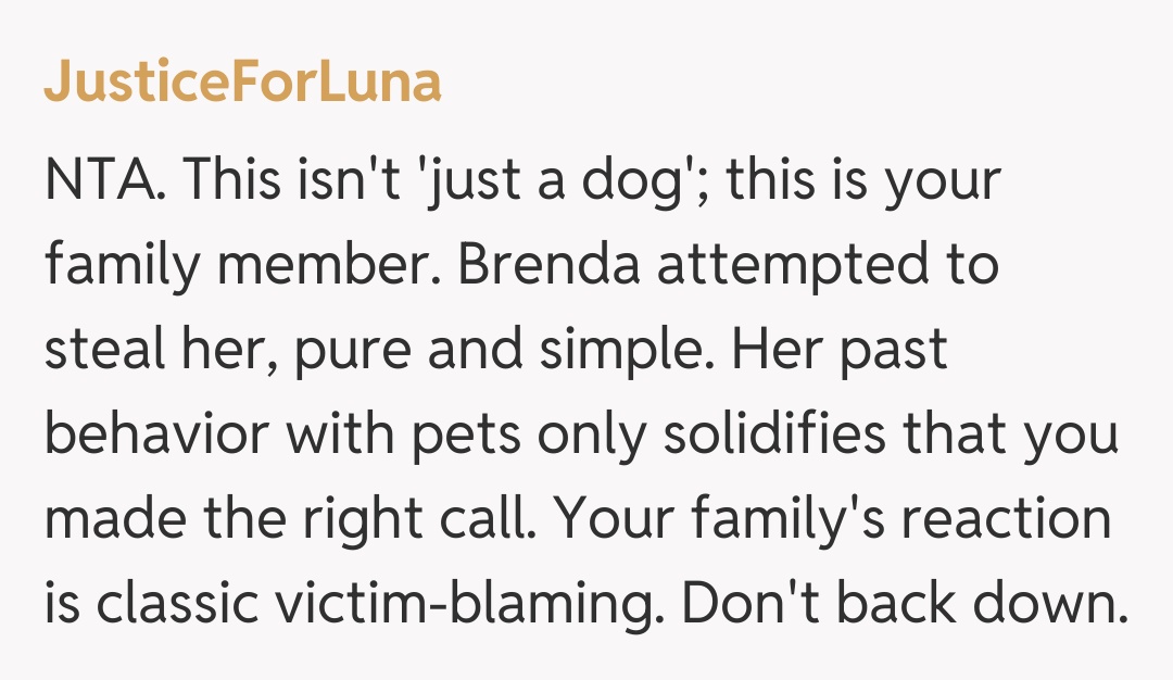 Comentariu de la JusticeForLuna