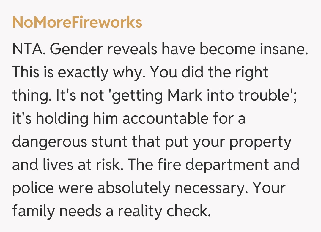 Comentariu de la NoMoreFireworks