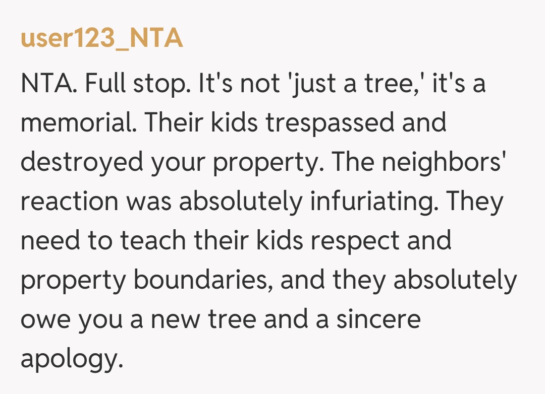 Comentariu de la user123_NTA