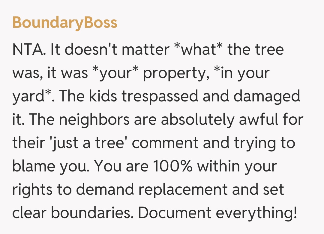 Comentariu de la BoundaryBoss