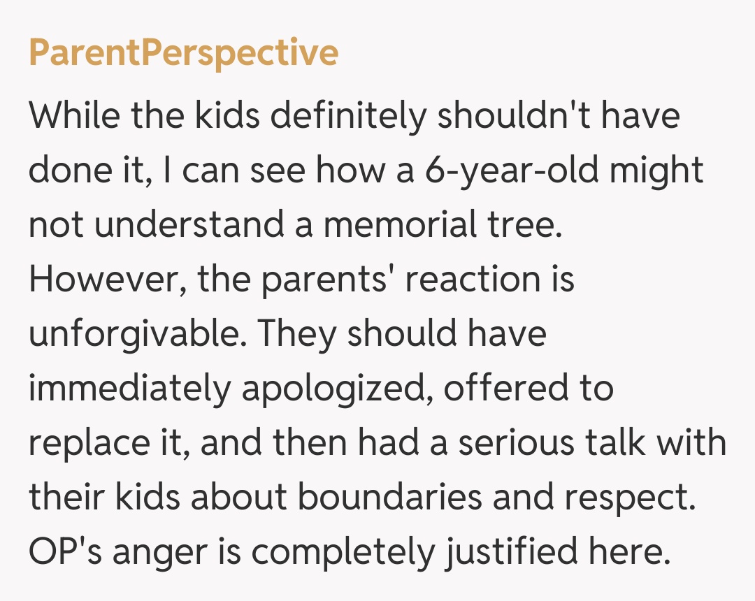 Comentariu de la ParentPerspective