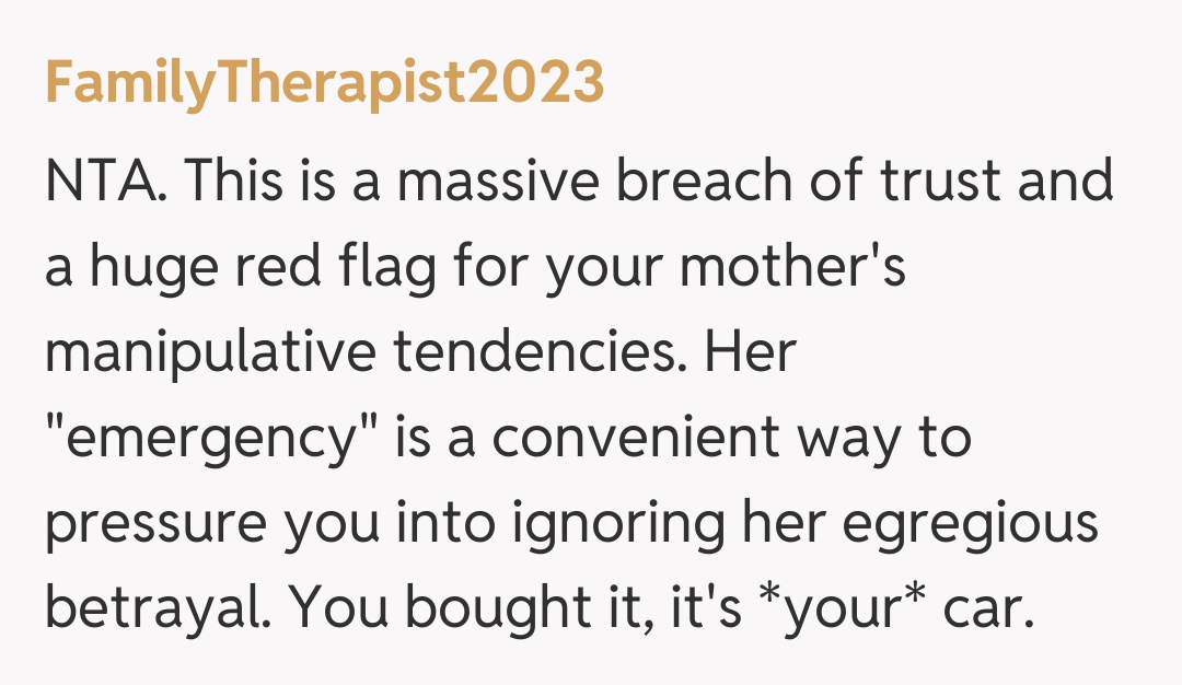 Comentariu de la FamilyTherapist2023