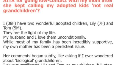 Photo of AITA for going low-contact with my mom after she kept calling my adopted kids ‘not real grandchildren’?