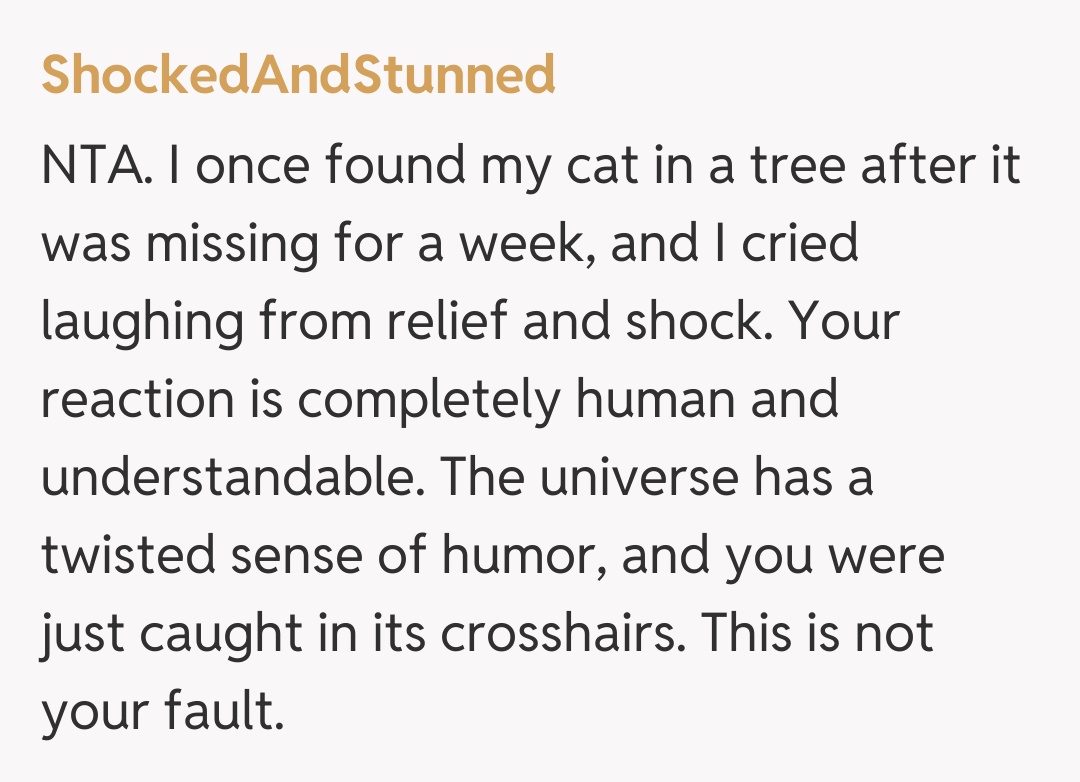 Comentariu de la ShockedAndStunned