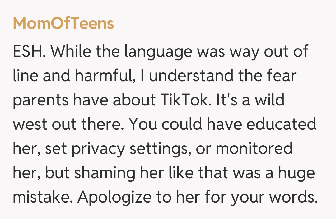 Comentariu de la MomOfTeens