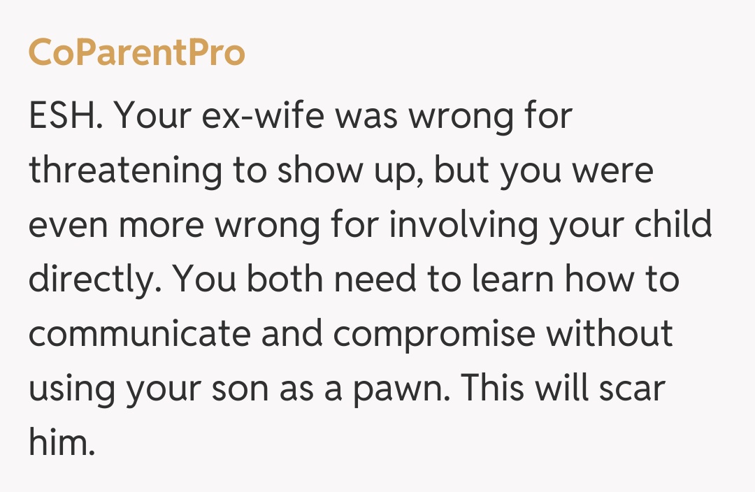 Comentariu de la CoParentPro