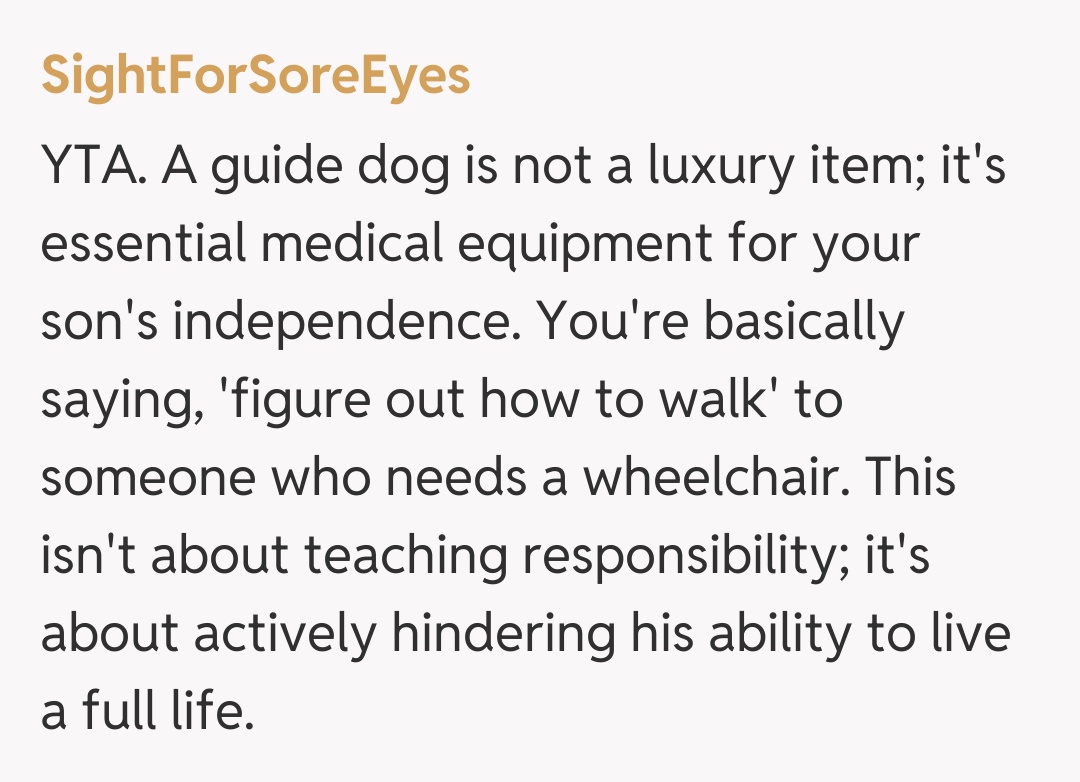 Comentariu de la SightForSoreEyes