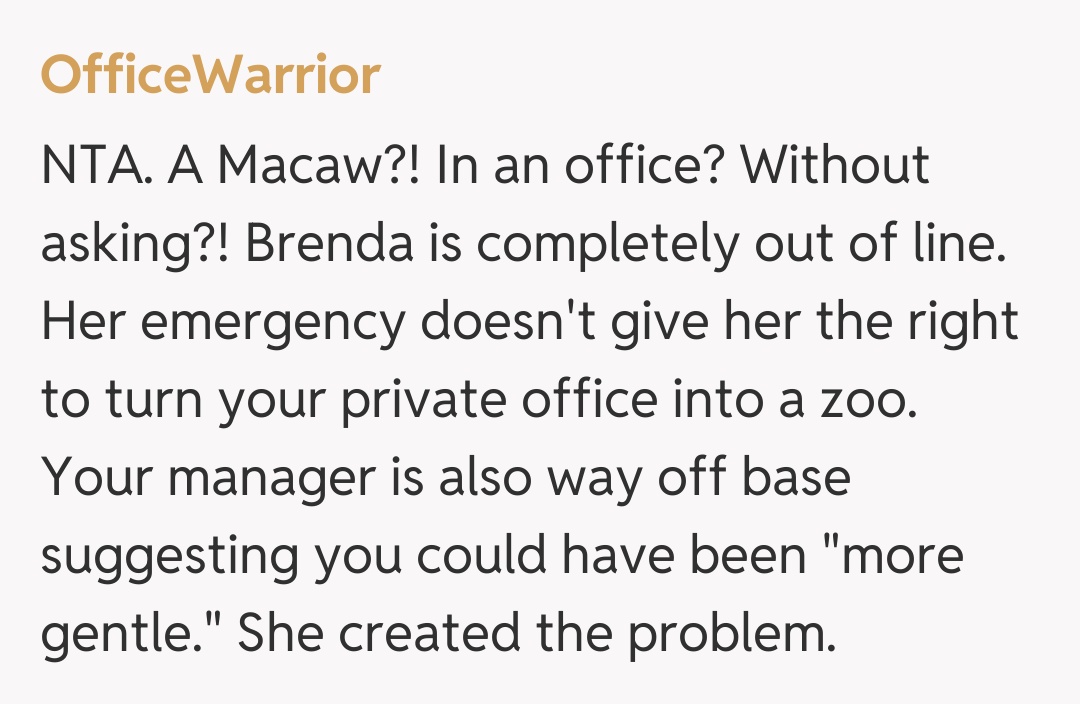 Comentariu de la OfficeWarrior