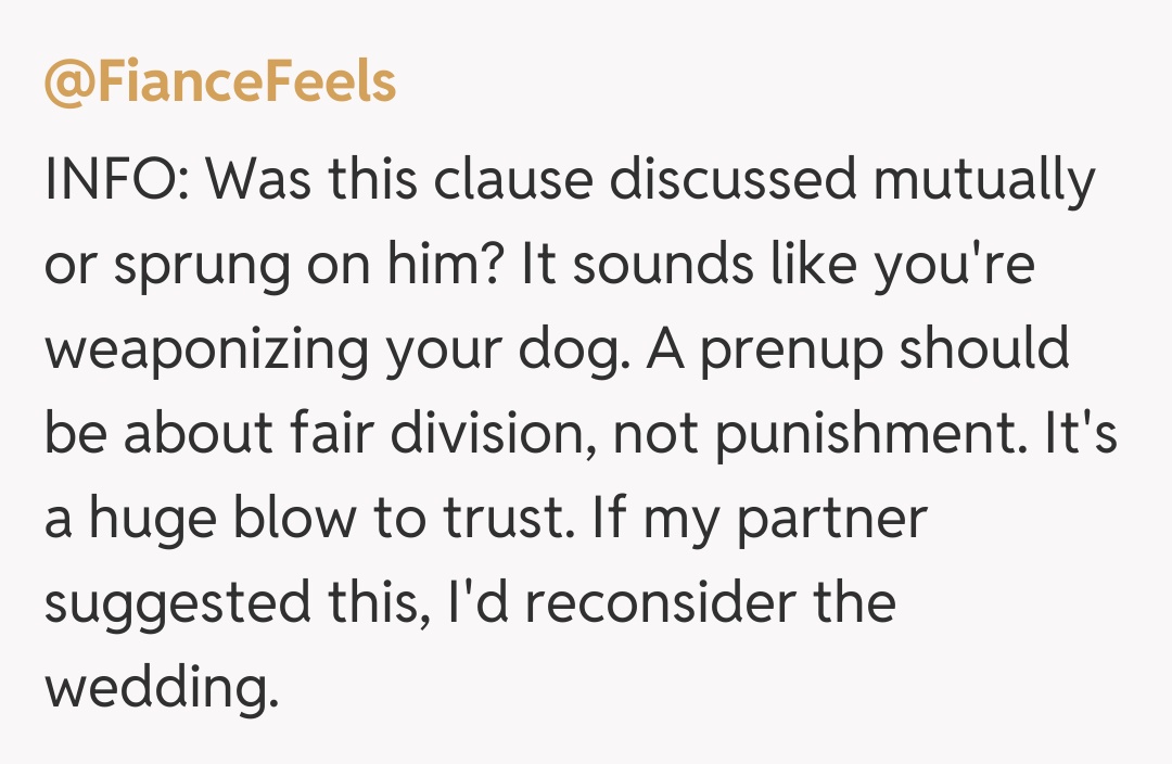 Comentariu de la @FianceFeels