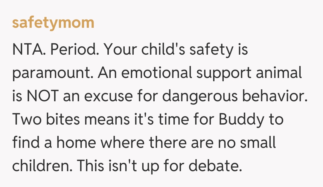 Comentariu de la safetymom