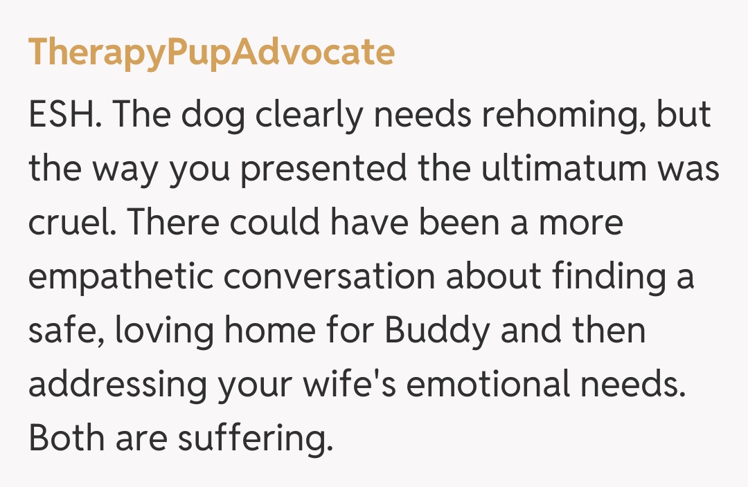 Comentariu de la TherapyPupAdvocate