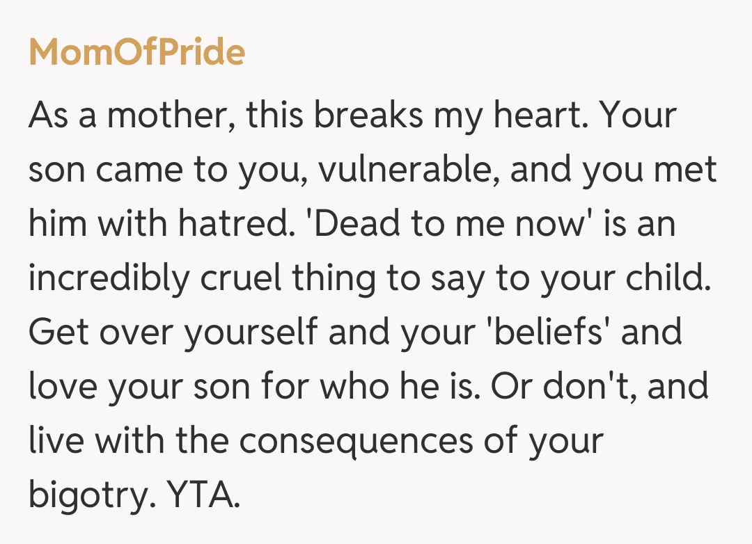 Comentariu de la MomOfPride