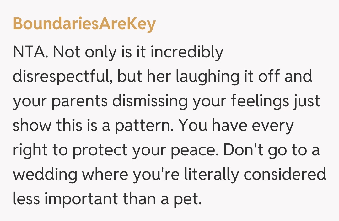 Comentariu de la BoundariesAreKey