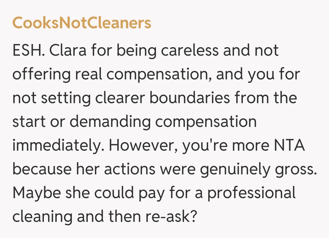 Comentariu de la CooksNotCleaners