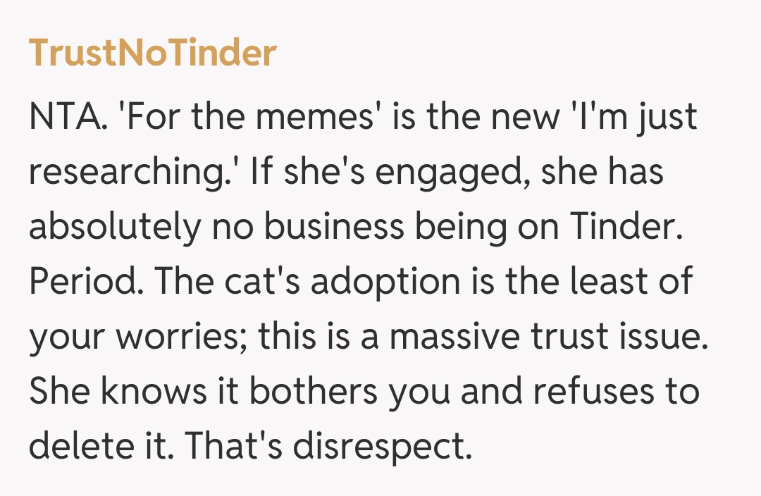 Comentariu de la TrustNoTinder