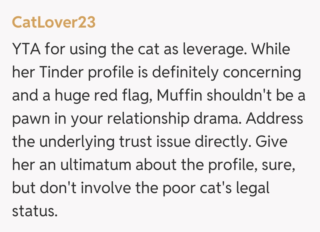 Comentariu de la CatLover23