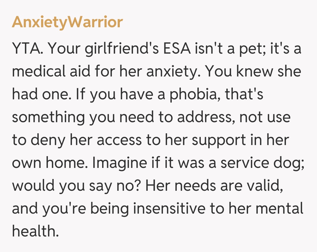 Comentariu de la AnxietyWarrior