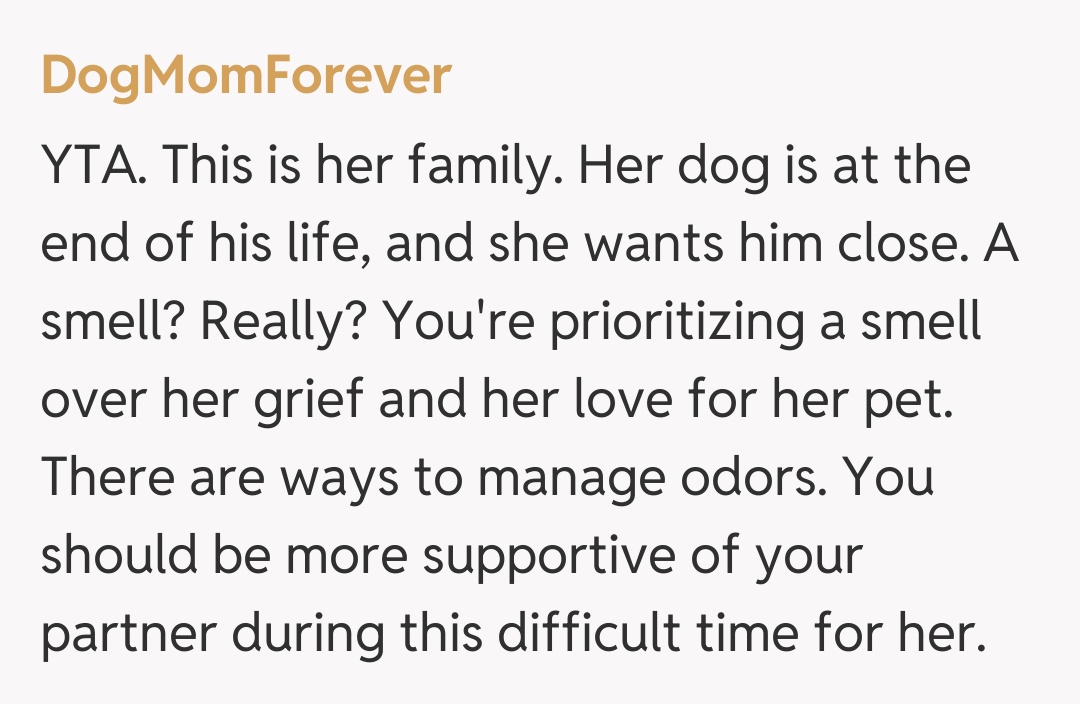 Comentariu de la DogMomForever