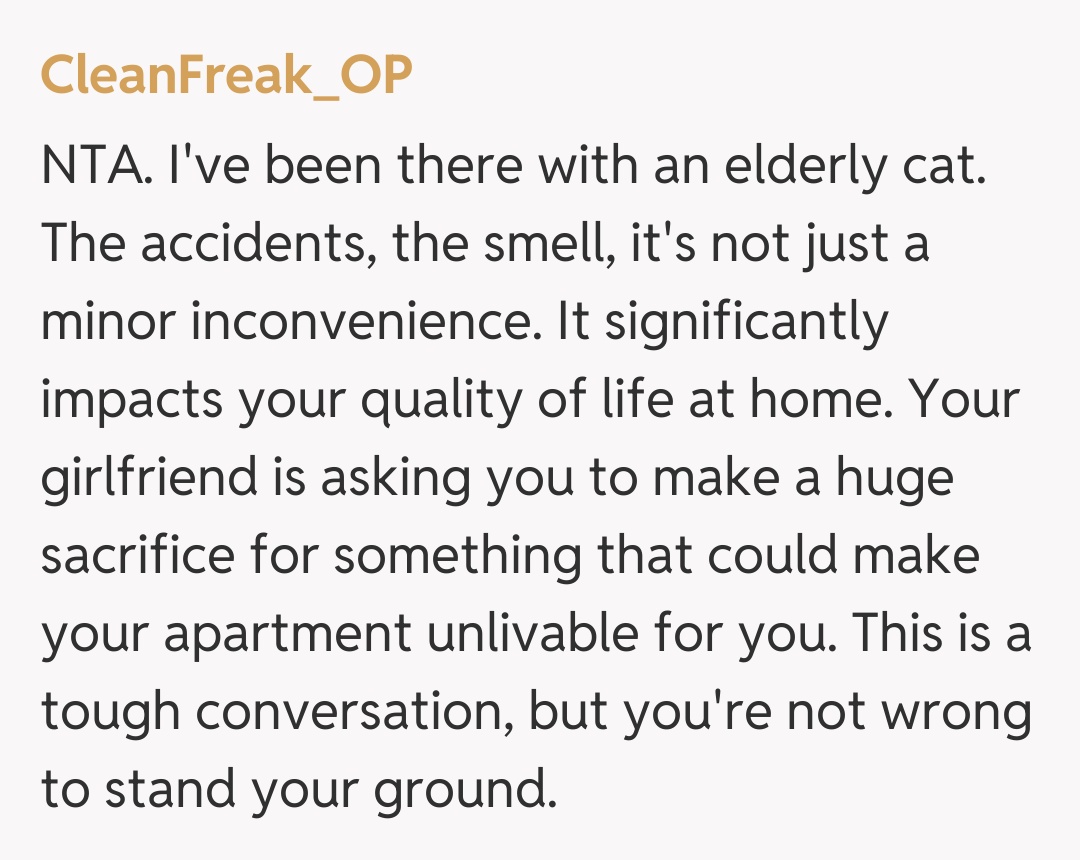 Comentariu de la CleanFreak_OP