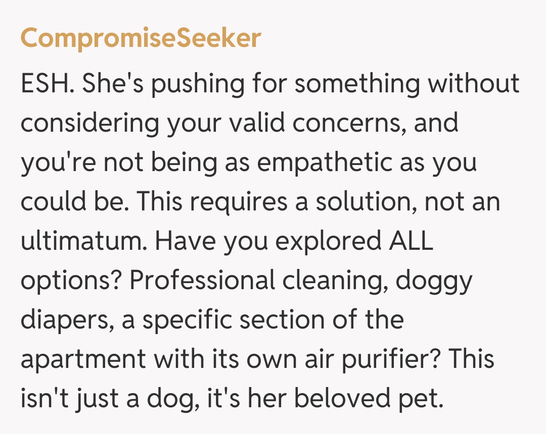 Comentariu de la CompromiseSeeker