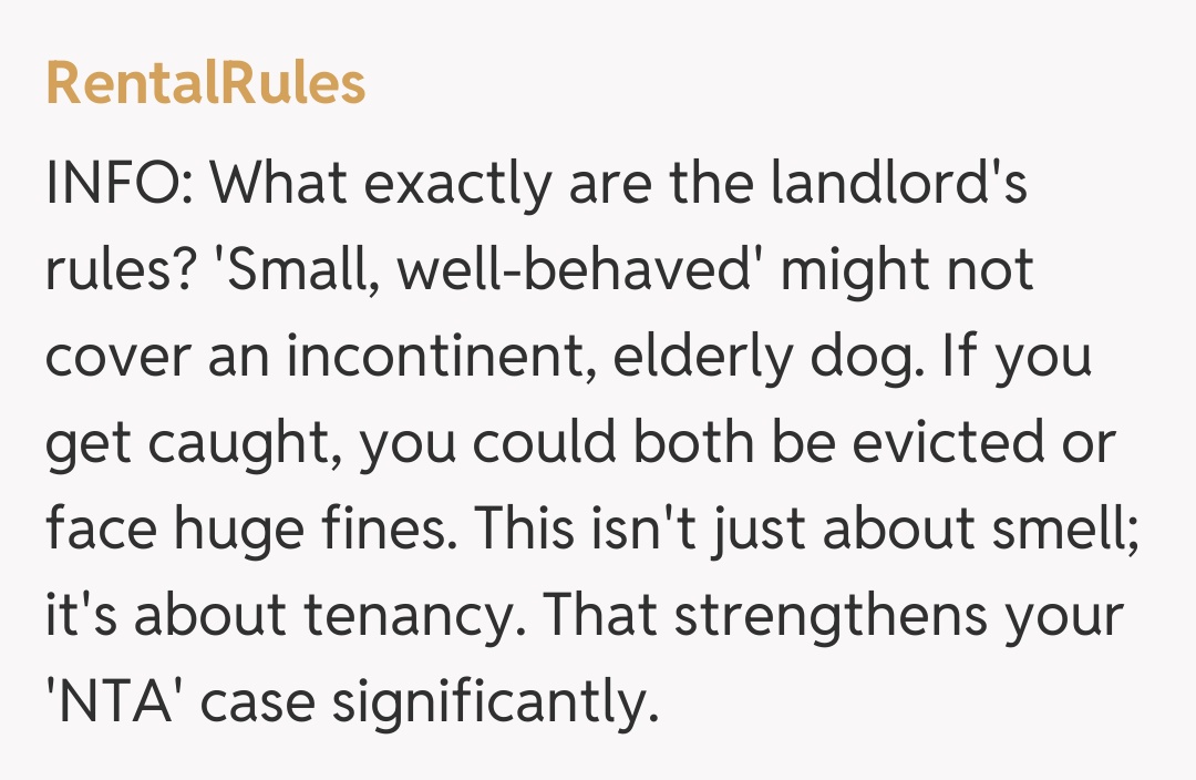 Comentariu de la RentalRules