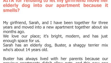 Photo of AITA for refusing to let my girlfriend move her elderly dog into our apartment because it smells?