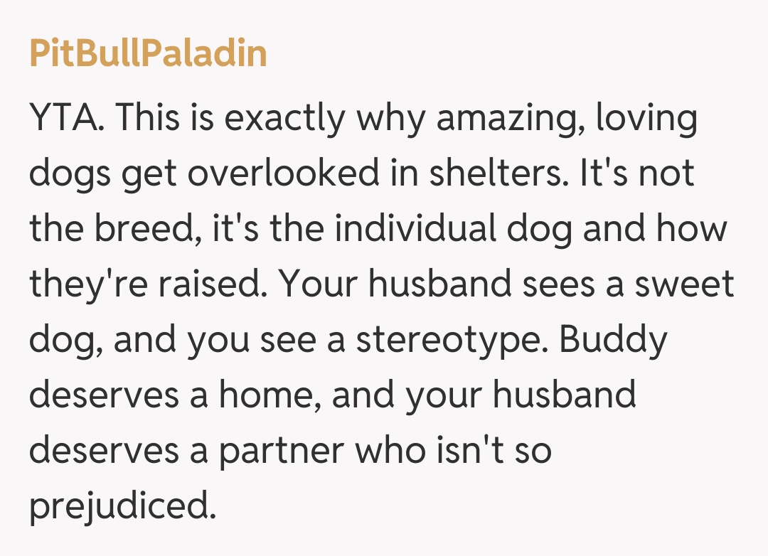 Comentariu de la PitBullPaladin