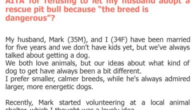 Photo of AITA for refusing to let my husband adopt a rescue pit bull because “the breed is dangerous”?