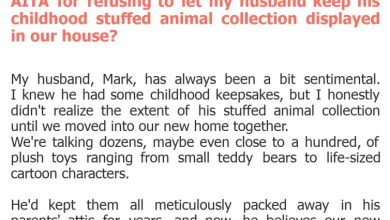 Photo of AITA for refusing to let my husband keep his childhood stuffed animal collection displayed in our house?