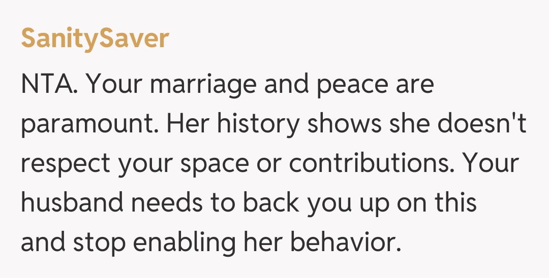 Comentariu de la SanitySaver