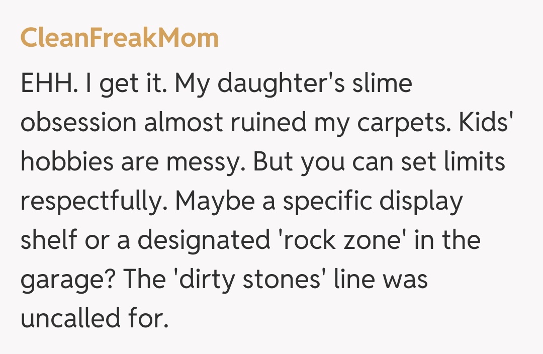 Comentariu de la CleanFreakMom