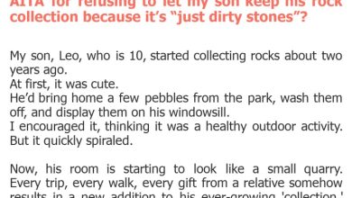 Photo of AITA for refusing to let my son keep his rock collection because it’s “just dirty stones”?