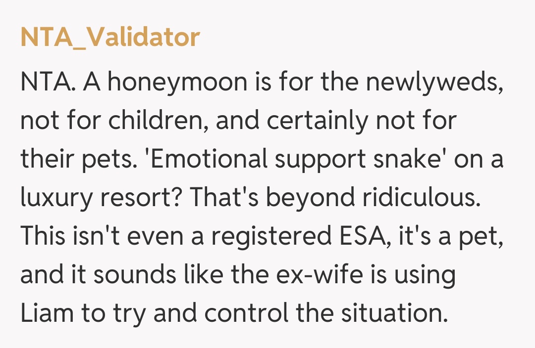 Comentariu de la NTA_Validator