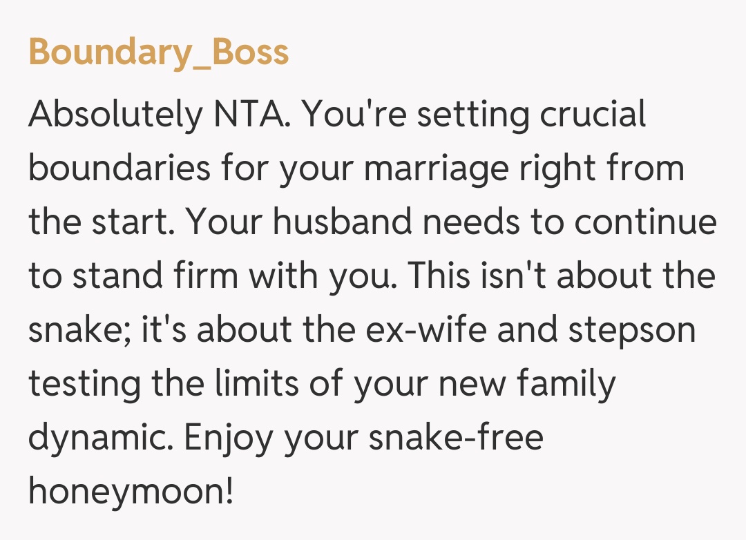 Comentariu de la Boundary_Boss