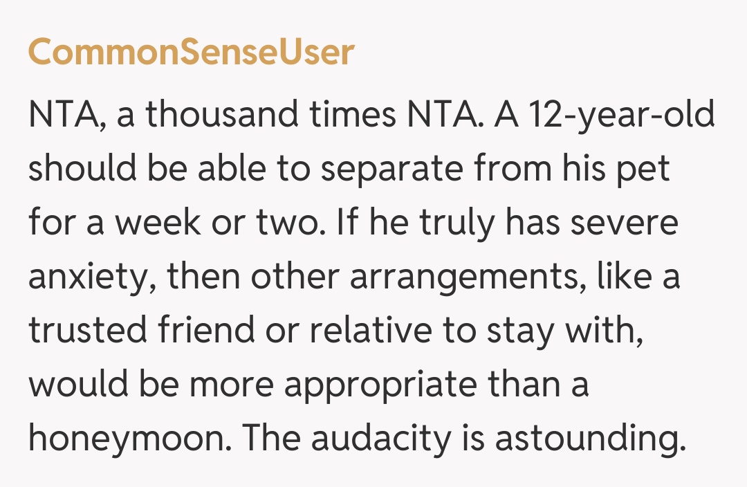 Comentariu de la CommonSenseUser