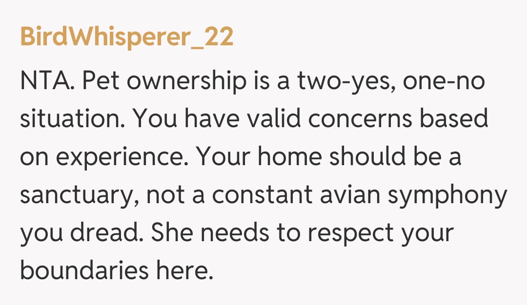 Comentariu de la BirdWhisperer_22